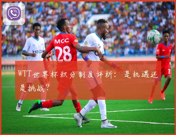 WTT世界杯积分制度评析：是机遇还是挑战？