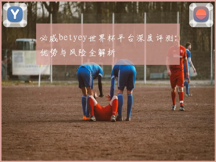 必威betyey世界杯平台深度评测：优势与风险全解析